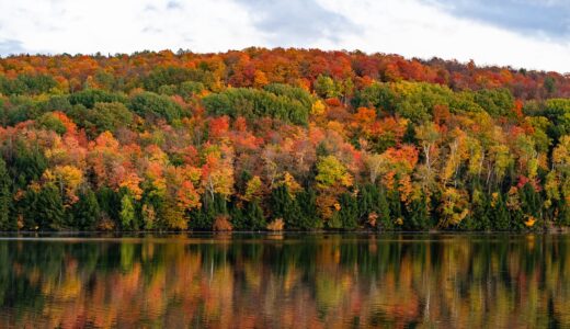【千葉】紅葉時期や穴場スポットを紹介！とっておきの場所で秋を存分に楽しむ