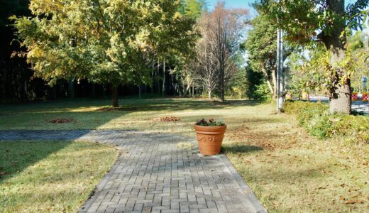【流山おおたかの森】閑静なエリアに佇むアートな空間。森の美術館の魅力を紹介