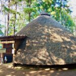 21世紀の森　縄文文化