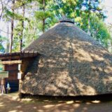 21世紀の森　縄文文化