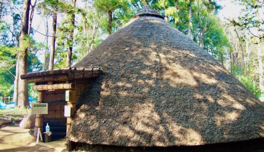 【松戸市】21世紀の森と広場はこんな公園！遊具や癒しスポットを画像で紹介