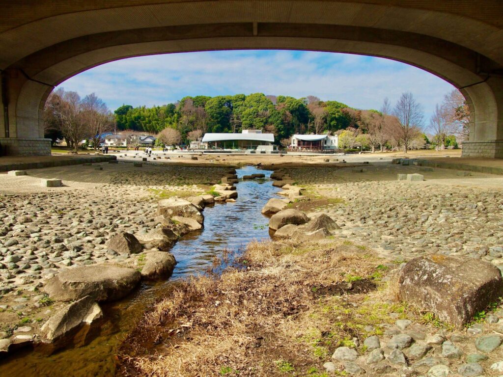 水遊びができる『水とこかげの広場』