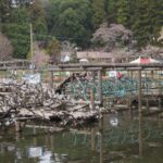 【野田市】おすすめの公園を紹介！清水公園だけじゃない、市内の魅力的な公園も
