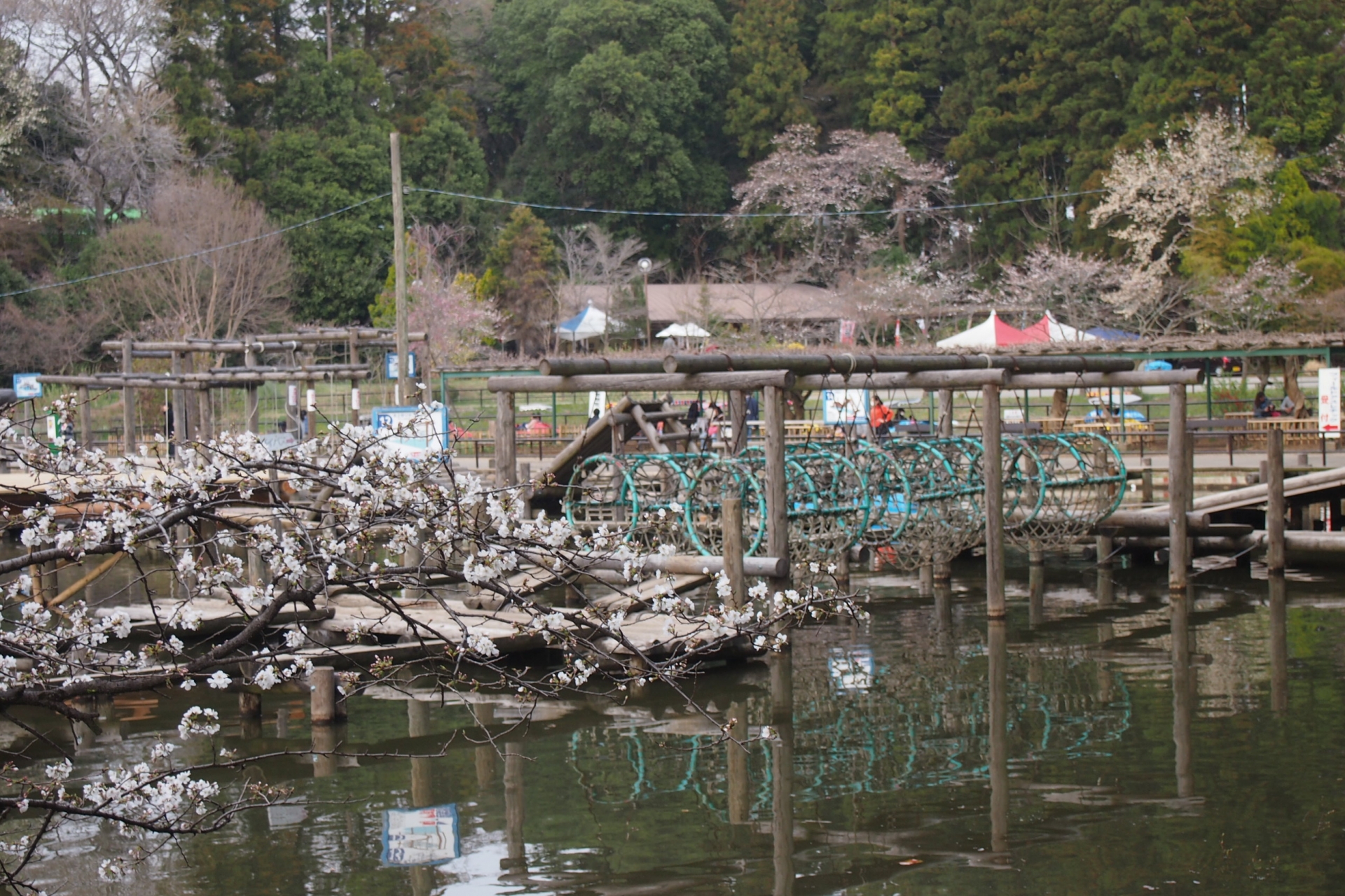 【野田市】おすすめの公園を紹介！清水公園だけじゃない、市内の魅力的な公園も