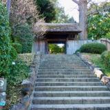 【松戸市】戸定が丘歴史公園・戸定邸｜徳川家最後の当主が暮らした家