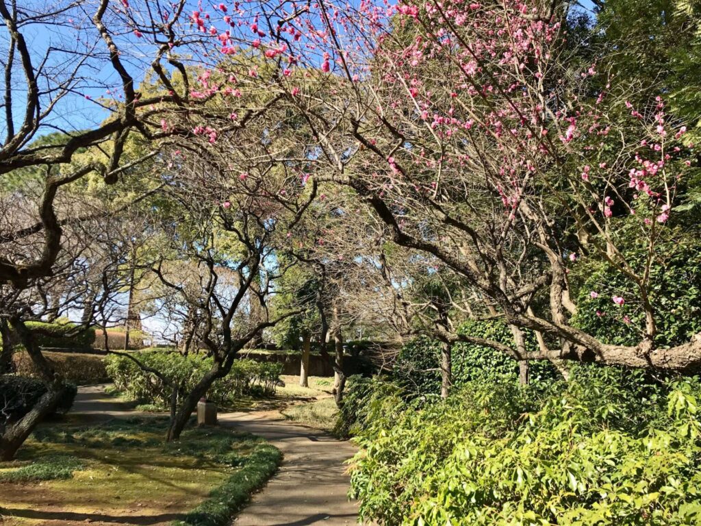 梅や紅葉・四季折々の花が素晴らしい「歴史公園内」