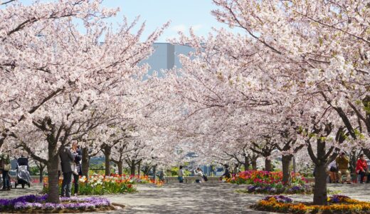 【千葉市】千葉市にある大きい公園8選！駐車場情報や遊具の一覧も！