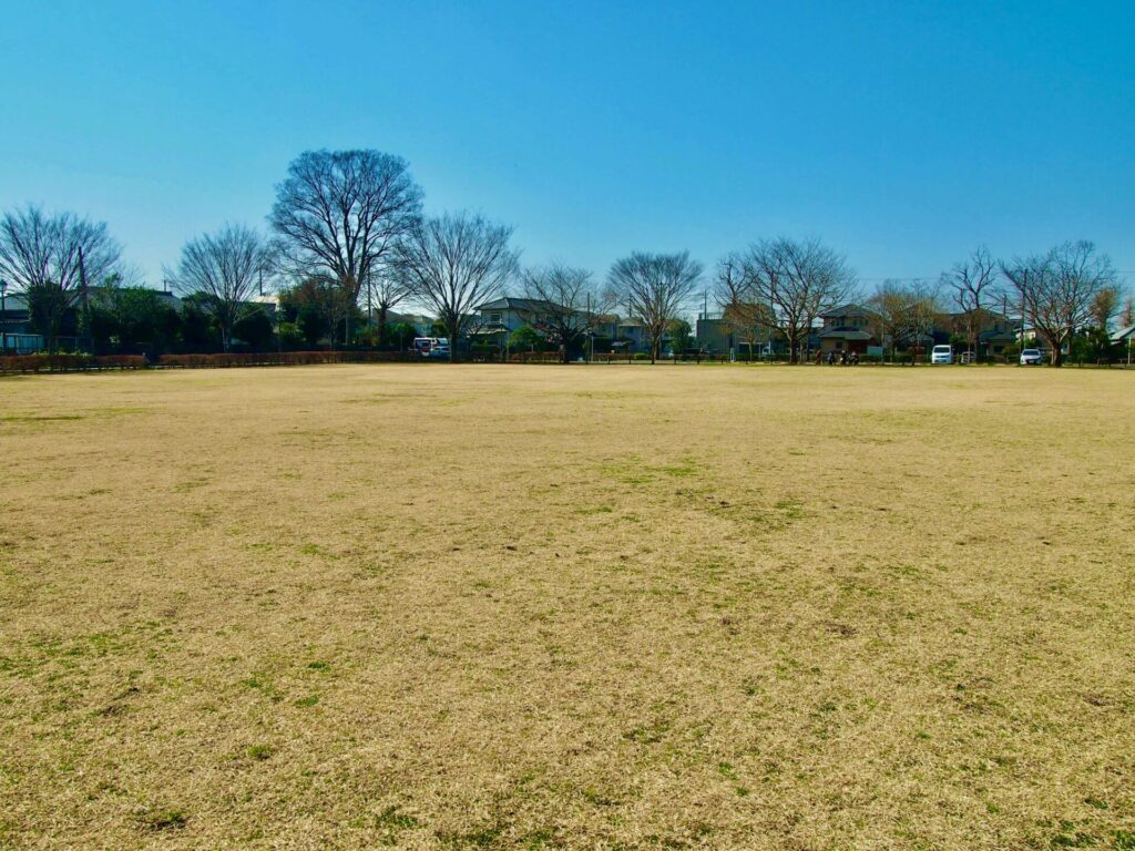 旧吉田家住宅公園の芝生広場