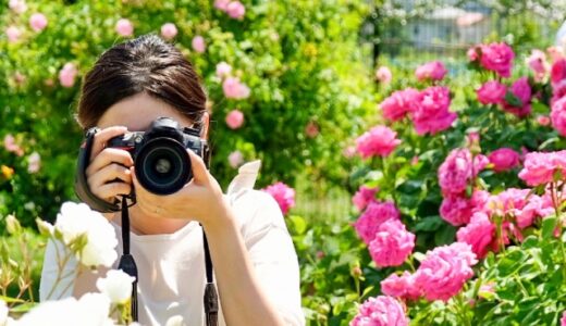 【千葉県】大人のおすすめ習い事7選！自分磨きの旅でスキルを手に入れよう