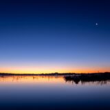 【印西市】豊かな水と緑に囲まれた歴史公園「千葉県立印旛沼公園」で自然を満喫しよう!