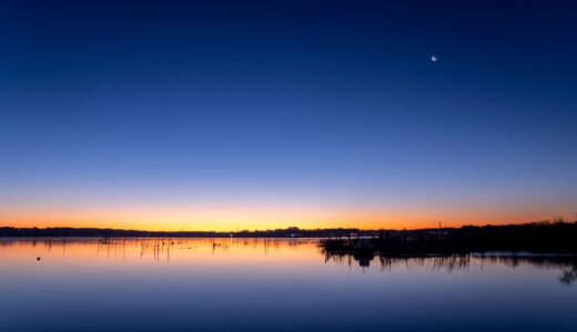 【印西市】豊かな水と緑に囲まれた歴史公園「千葉県立印旛沼公園」で自然を満喫しよう！