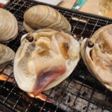 ホンビノス貝　船橋　観光