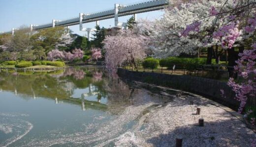 【千葉市】お出かけを気軽に楽しみたい！自然も施設も食べ物ジャンル別おすすめ人気スポット13選