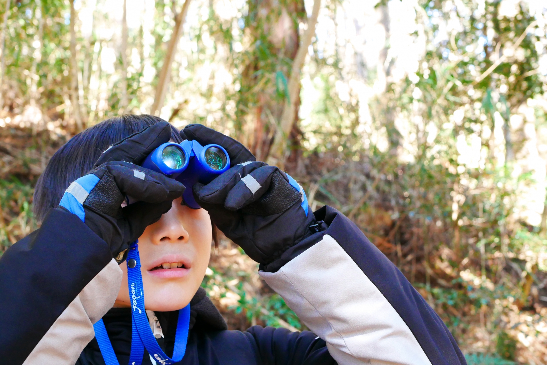 【習志野市】谷津干潟公園の自然の中でバードウォッチングをしてみよう