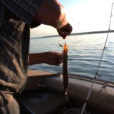 【東金市】釣り場で有名な雄蛇ケ池(おじゃがいけ)に行ってみよう