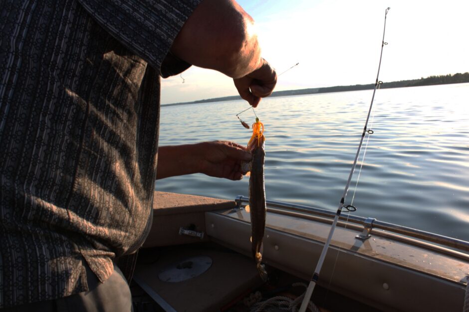 【東金市】釣り場で有名な雄蛇ケ池（おじゃがいけ）に行ってみよう