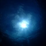 【勝浦市】臨場感ある海中散歩!勝浦海中公園で貴重な魚に出会えるかも?