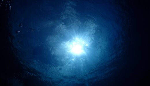 【勝浦市】臨場感ある海中散歩！勝浦海中公園で貴重な魚に出会えるかも？