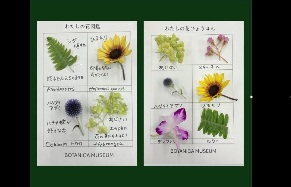 夏休み特別企画なども実施　自由研究にもぴったり