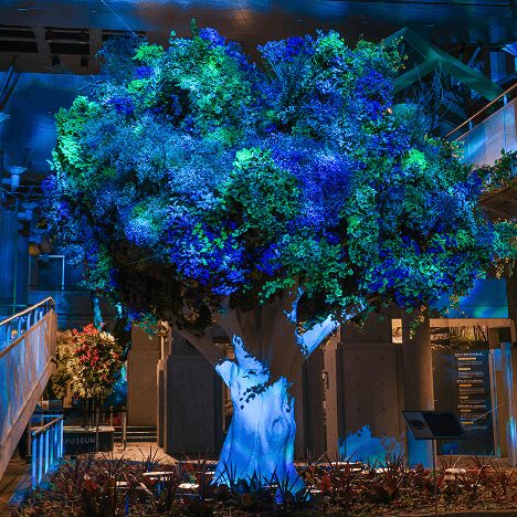 BOTANICA MUSEUMの季節ごとの楽しみ方