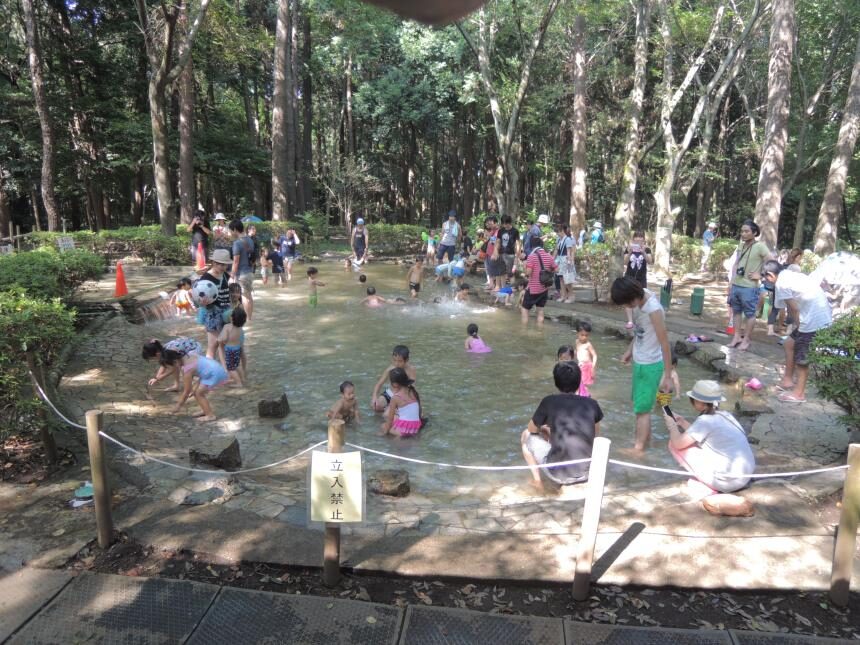 手賀の丘公園