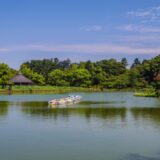 【2025年】千葉公園お出かけガイド♪新スポット「Yohasアリーナ」やカフェなどご紹介