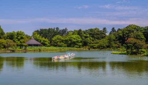 【2025年】千葉公園ガイド♪新スポット「Yohasアリーナ」やカフェなどご紹介