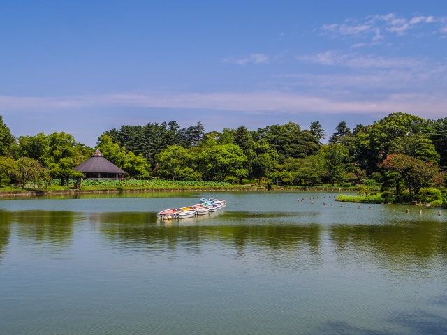 子どもが大喜び!千葉公園の遊び場徹底ガイド