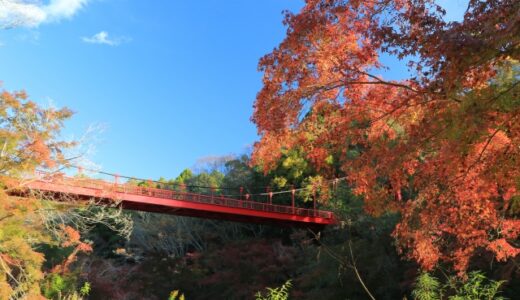 【千葉市若葉区】都心に近い大自然ならここ!泉自然公園に行ってみよう