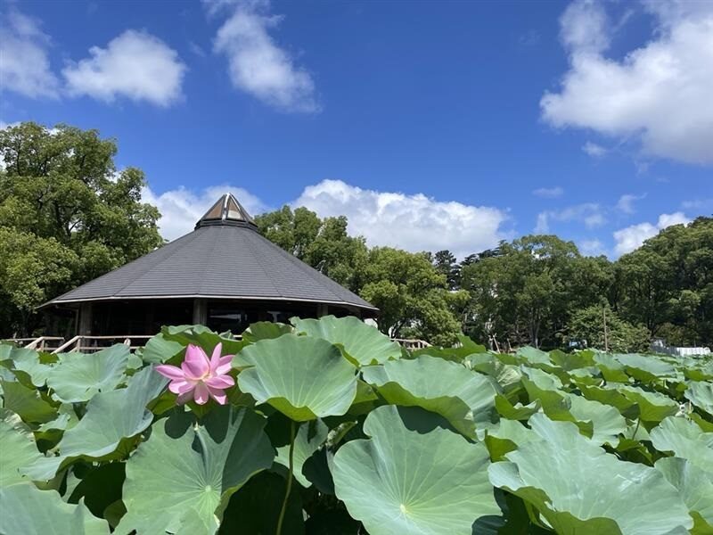 1.【千葉公園駅】進化し続ける憩いのオアシス「千葉公園」