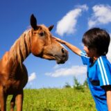 子どもと一緒に行ける！楽しめる♪千葉県の観光スポット15選！