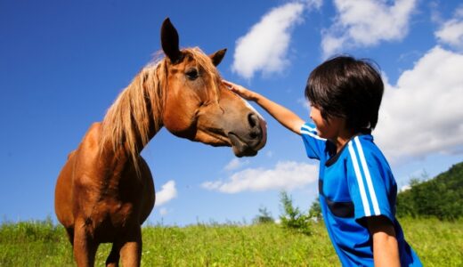 子どもと一緒に行ける！楽しめる♪千葉県の観光スポット15選！