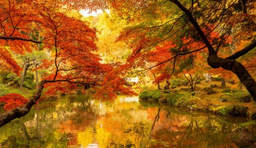 【2025年版】千葉県内大きい公園おすすめ8選!子どもから大人まで楽しめる公園を紹介