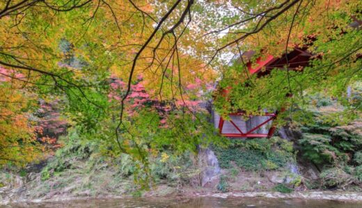 【千葉】紅葉時期や穴場スポットを紹介！とっておきの場所で秋を存分に楽しむ