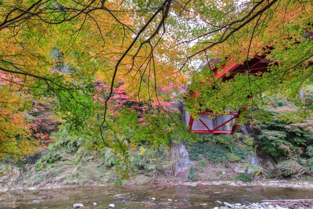 【千葉】紅葉時期や穴場スポットを紹介！とっておきの場所で秋を存分に楽しむ