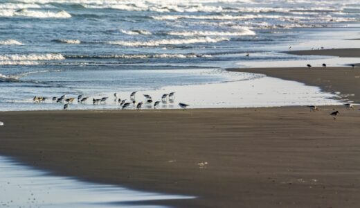 【九十九里】夏以外も楽しめる！サーフィンの聖地・片貝海水浴場に行ってみよう