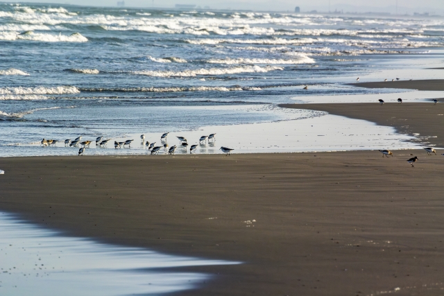 九十九里　片貝