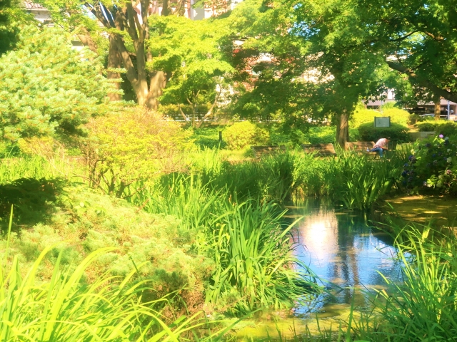 千葉公園の秋を楽しもう！紅葉スポットもすぐそば