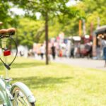 【2025年秋】サンキューちばフリーパスで巡る！スポーツと絶景の千葉満喫旅