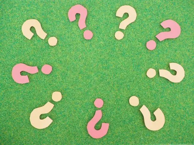 トレーニングとサポートの違いとは？