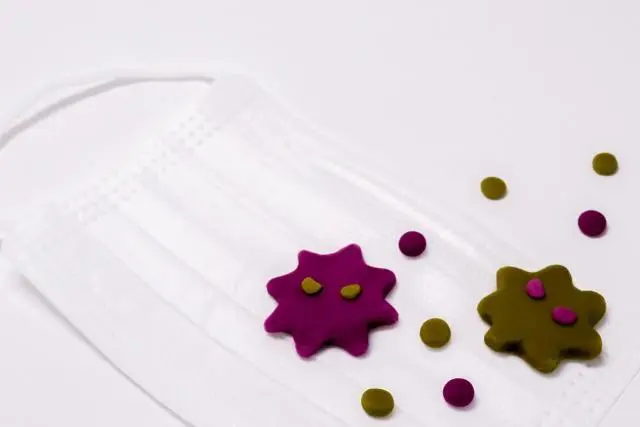 お子さまをお持ちの方必見!秋から冬にかけて地域で流行しやすい感染症と対策