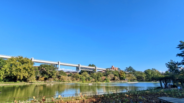 千葉公園の冬を楽しもう！