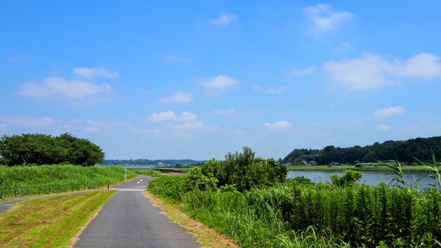 【スポット⑦】印旛沼エリアのサイクリング｜自然の中を走り抜ける爽快感