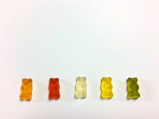 クマのグミ